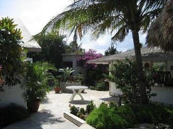 Baldwin'S Guest House Cozumel Exterior photo